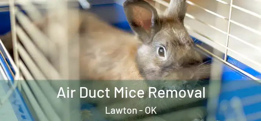 Air Duct Mice Removal Lawton - OK