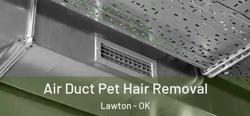 Air Duct Pet Hair Removal Lawton - OK