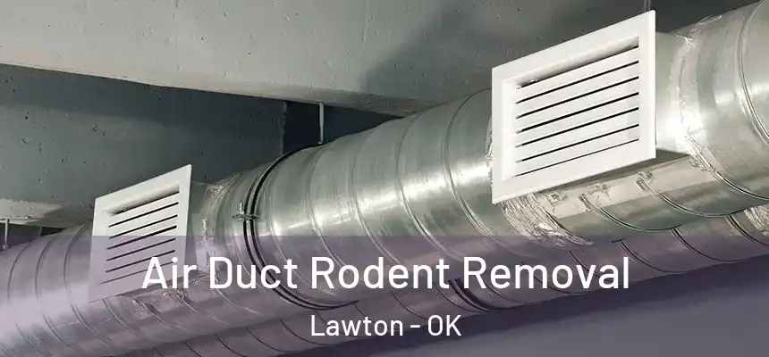  Air Duct Rodent Removal Lawton - OK