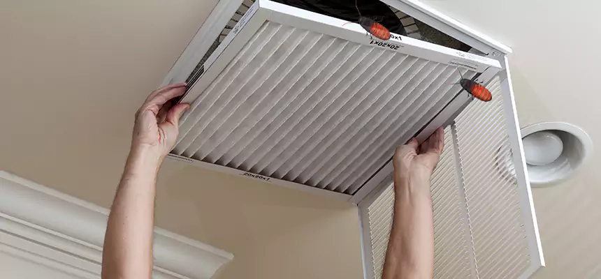 Preventive Cockroach-Proofing for Ducts in Lawton
