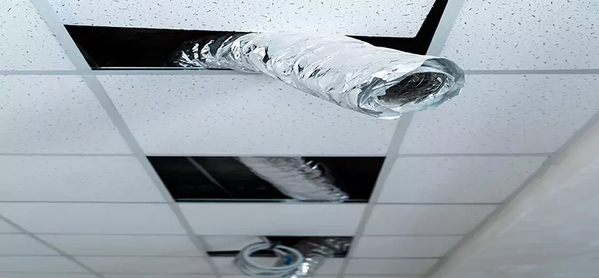 Affordable HVAC Sanitizing After Pest Removal in Lawton