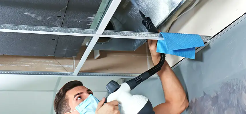 Our Air Duct Rodent Removal Services in Lawton, OK