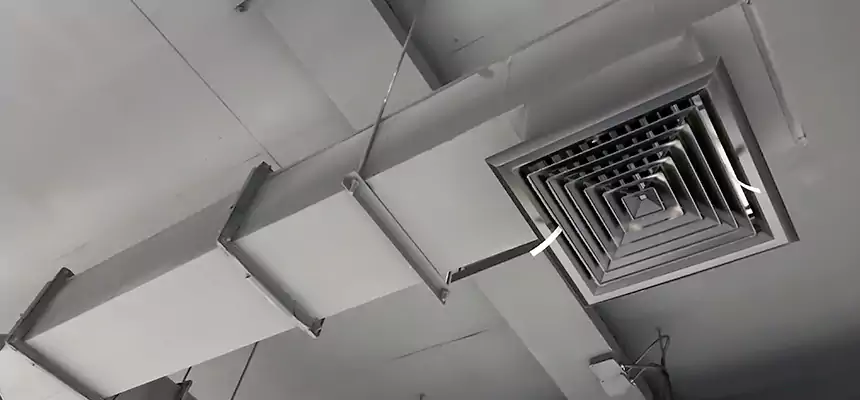 Our Rodent Droppings In Vents Services in Lawton, OK