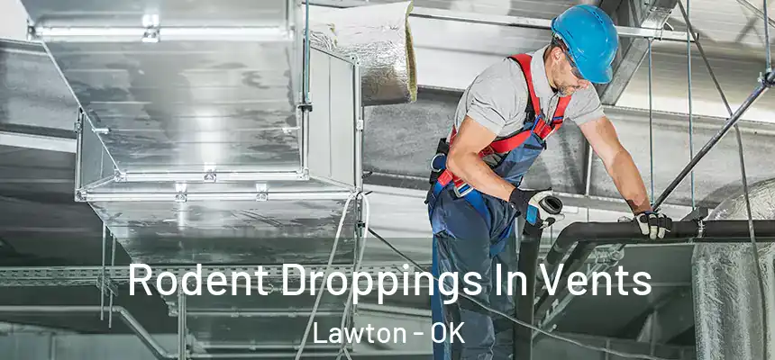  Rodent Droppings In Vents Lawton - OK