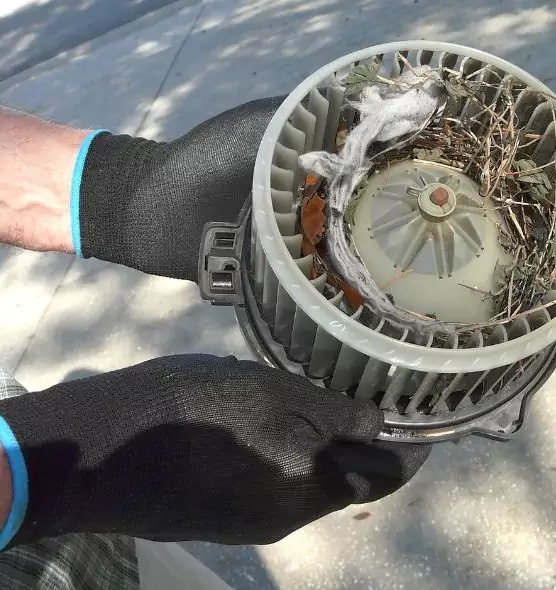 About Air Duct Mice Removal in Lawton, OK