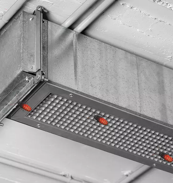 Affordable Insect Removal from Air Ducts in Lawton, OK