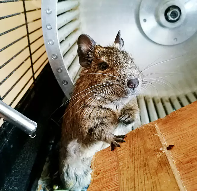 Why Homeowners & Businesses Trust Us Lawton, OK